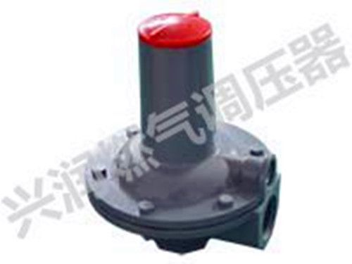 RAF 型燃?xì)獍踩派㈤y